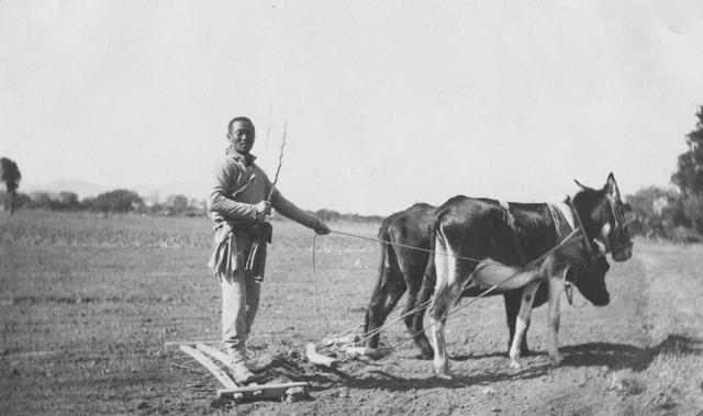 八旗兵曾是满清打江山的支柱力量为何在清朝中期就走向了衰落