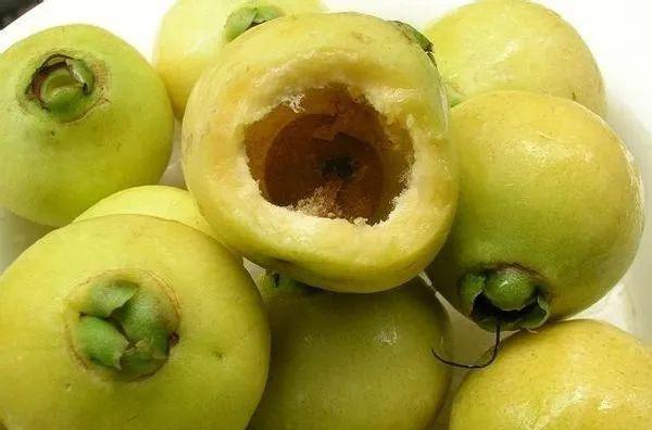 在罗定想吃到这种空心的果,得从虫子嘴里"抢"下来_葡萄