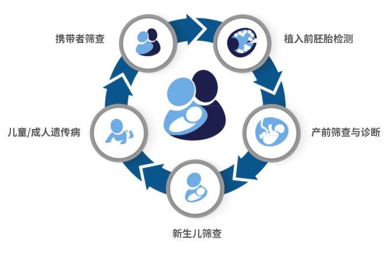 分子诊断