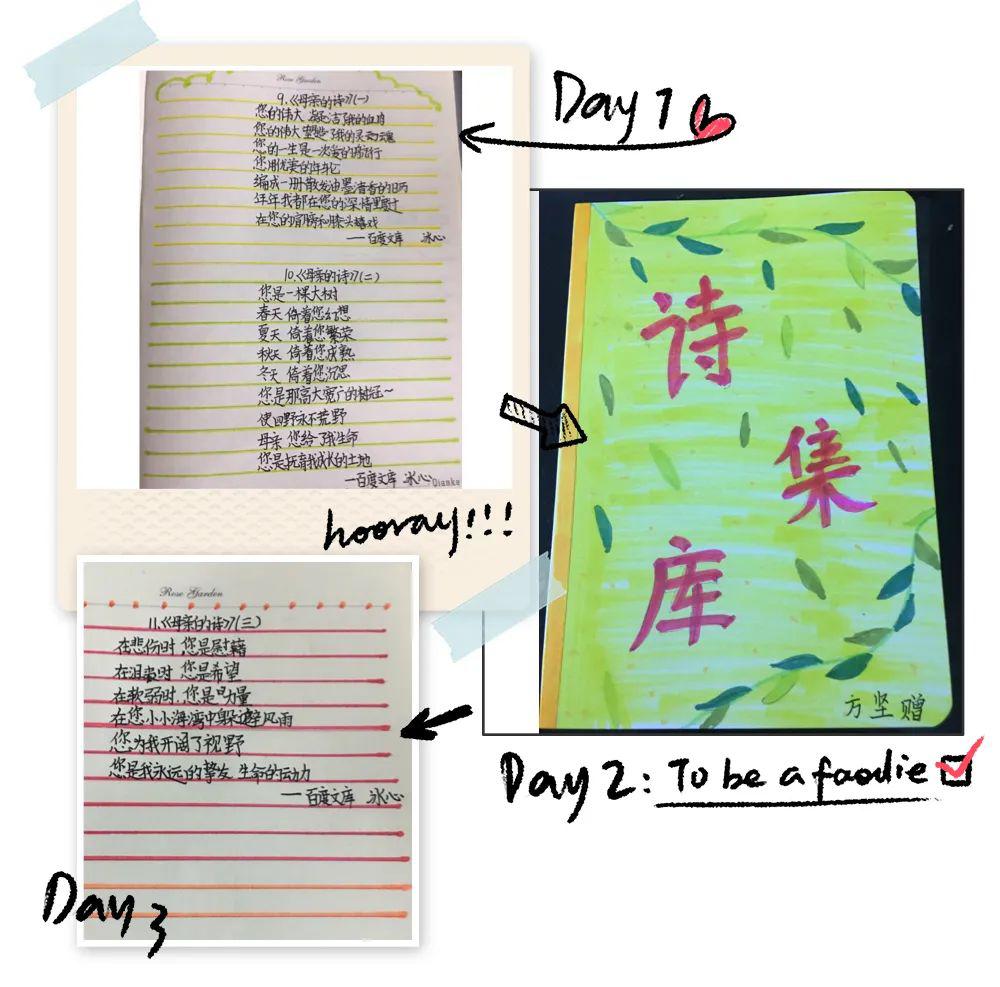 【至善学子61优秀作业】第十二期:读书不觉已春深——四年级2班语文