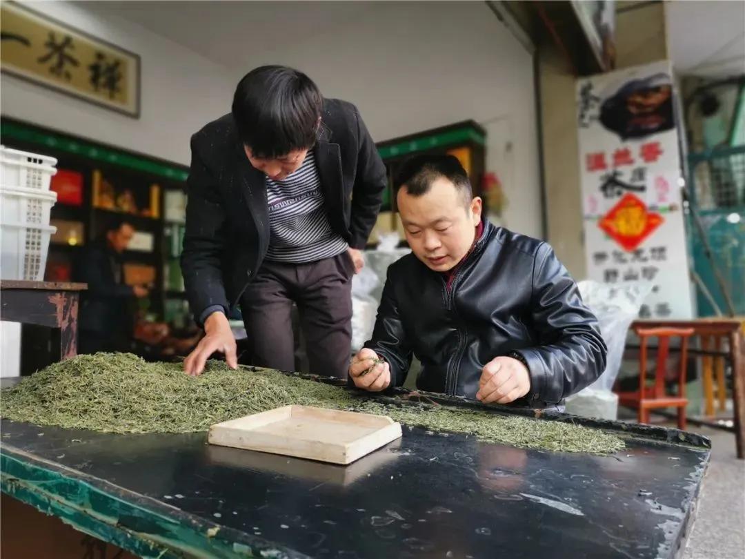 600000000元这个春天开化龙顶明前茶卖爆了