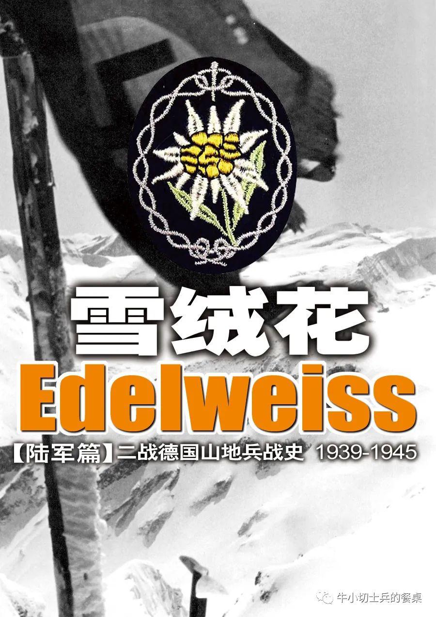 《雪绒花》经典回眸,全景展现德军精锐山地兵的血火征途,不容错过!