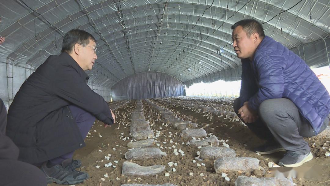 宋向党到石城乡调研农业产业结构调整工作