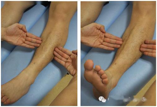 解剖列车人体12条筋膜链解析及具体手法操作详解