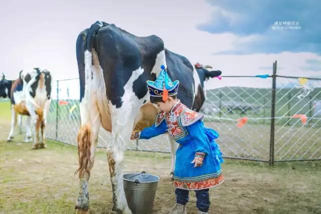 【2020-三人行户外国旅】草原研学营-争做呼伦贝尔草原小巴特_蒙古骑
