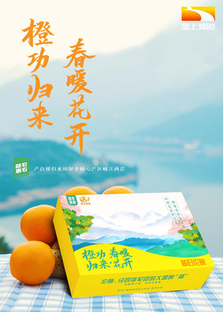 从枝头到餐桌首批橙功款伦晚脐橙成功抵汉