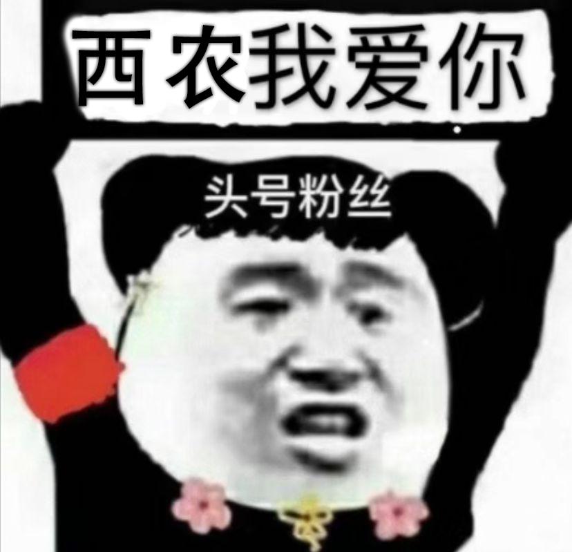 外语学子行为大赏