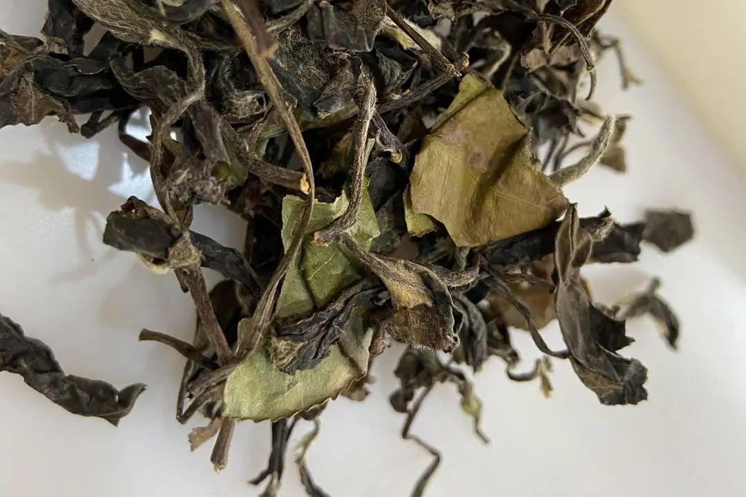 2015年春贡眉叶底墨绿色,火攻不均偏高茶汤青豆味,青臭味,青麻青涩干