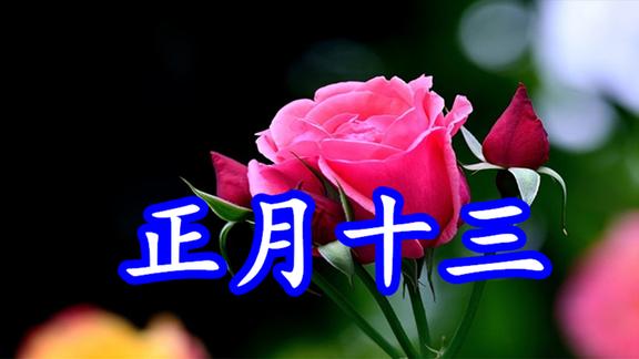 正月十三点播一首你是我今生全部的爱愿被你俘虏愿被你主宰