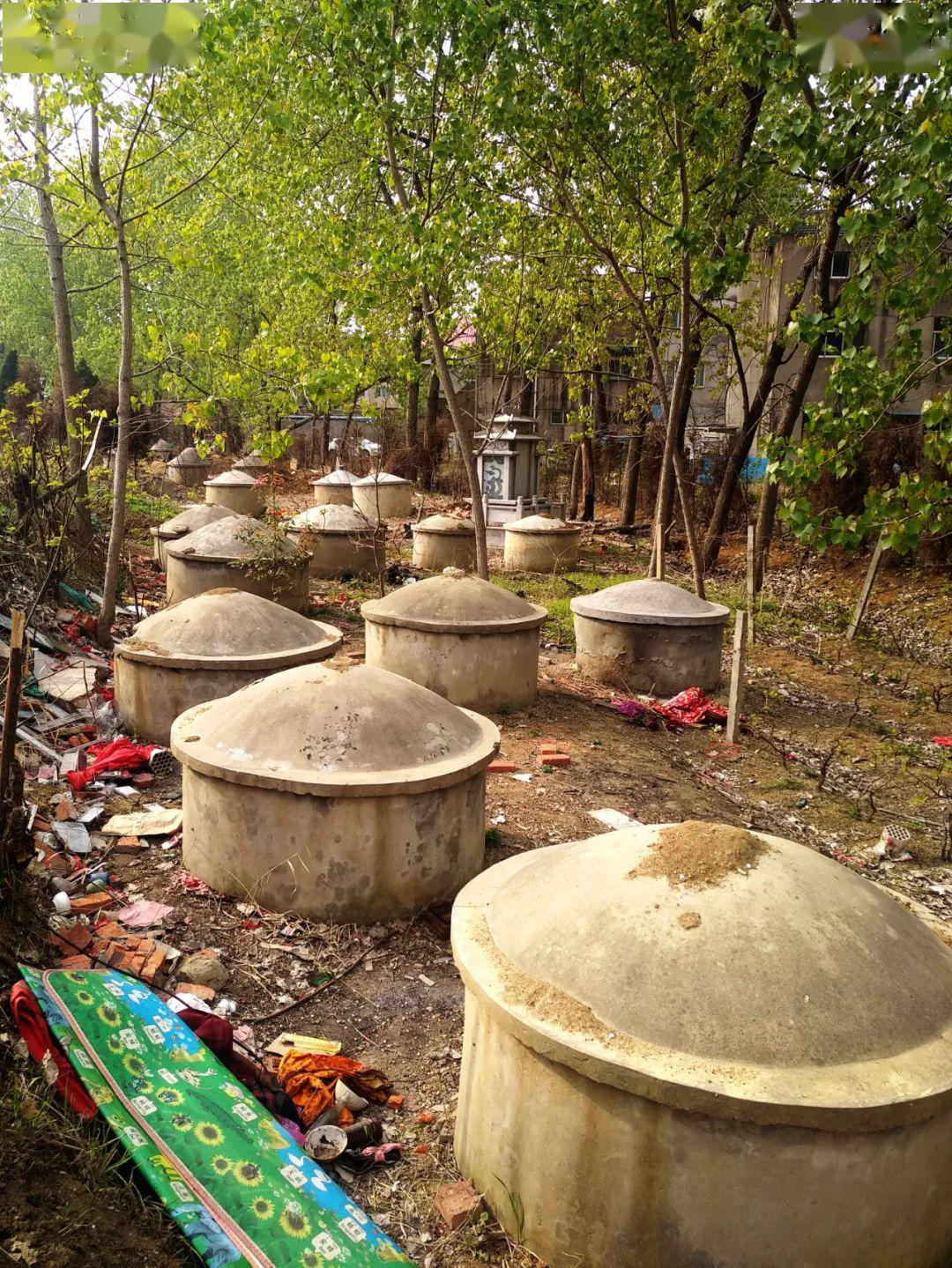 图片目前村里已安排机械对搬迁后的老坟地进行平整和绿化这次迁坟