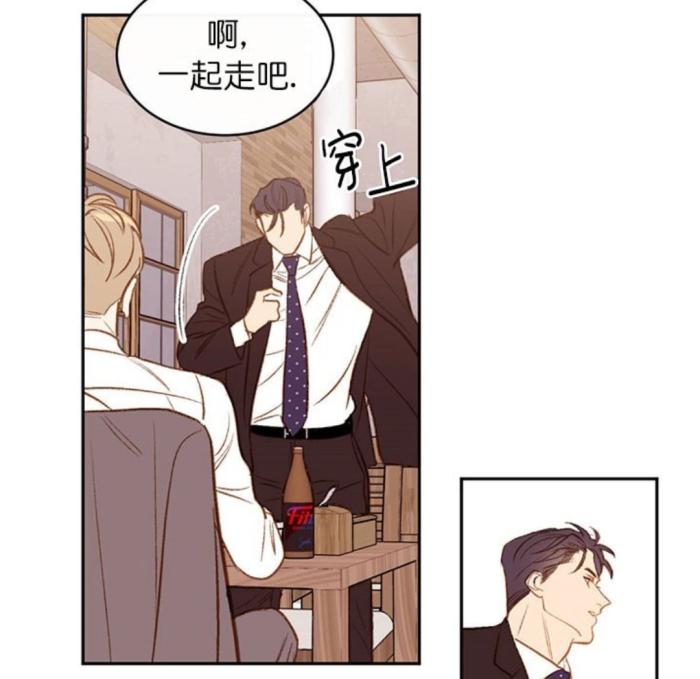 漫画撩走大魔王当冷脸总裁遇上29岁职场萌新怼怼更有爱