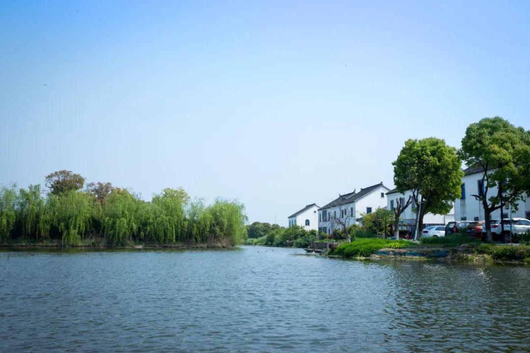 渭塘四月天竟如此温柔