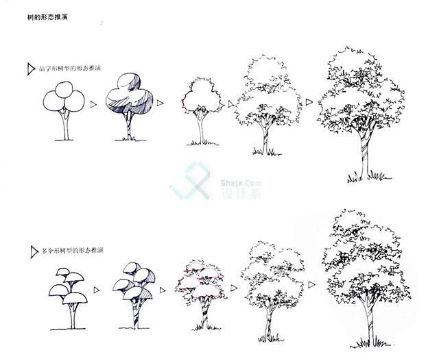 植物配景畫法單體植物畫法講解適合0基礎學習一學就會