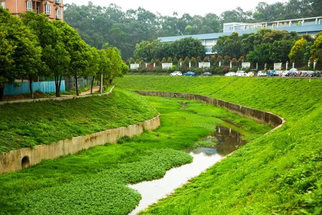 河道水質提升,生態環境恢復 水岸兩旁綠植遍佈,春意盎然 黃江沿河勾勒