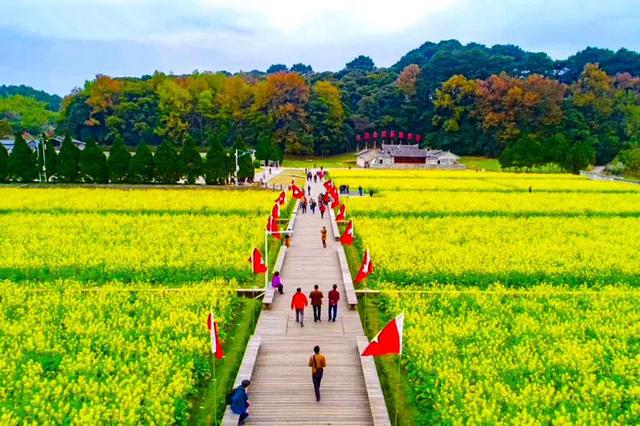 "红"与"绿"的交织,古田融新焕彩 | 景区复游图鉴_旅游区