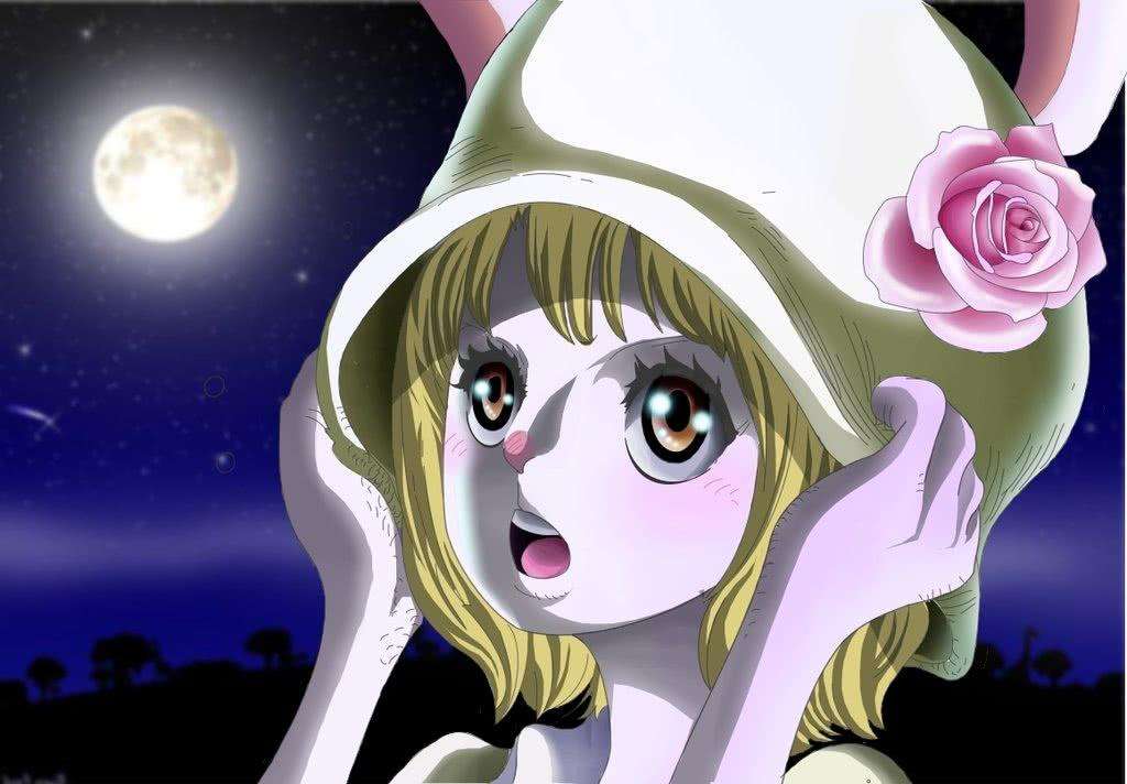 原创海贼王最后一位伙伴是加洛特薇薇是原伙伴桑尼号是船