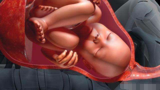 胎儿的出生时间跟这个部位的发育有关真的有科学依据