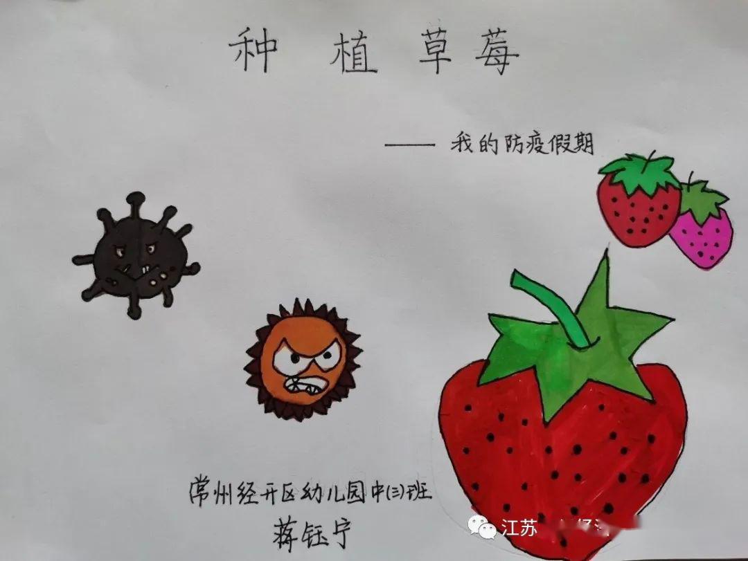 分享plus童心绘话⑦种植草莓