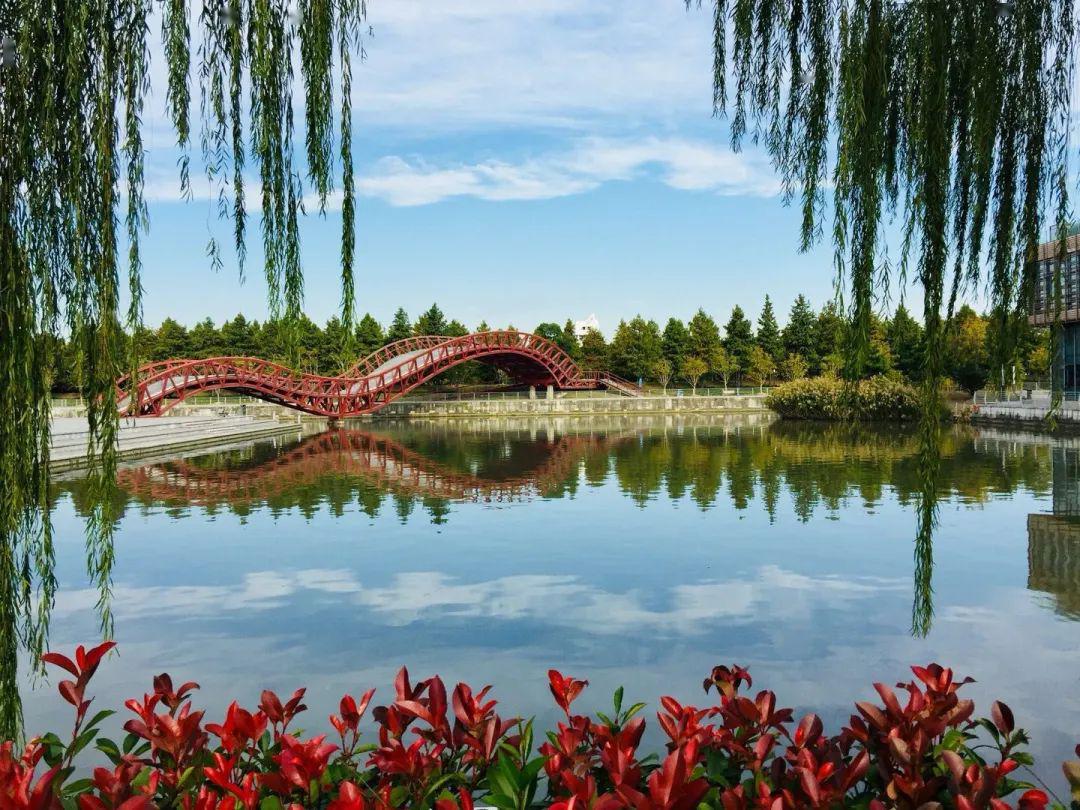 新虹4月征集丨砸来春日美照帮你在华翔绿地公园认养一棵树