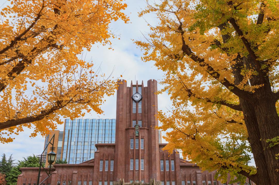 神奈川大学湘南校区图片