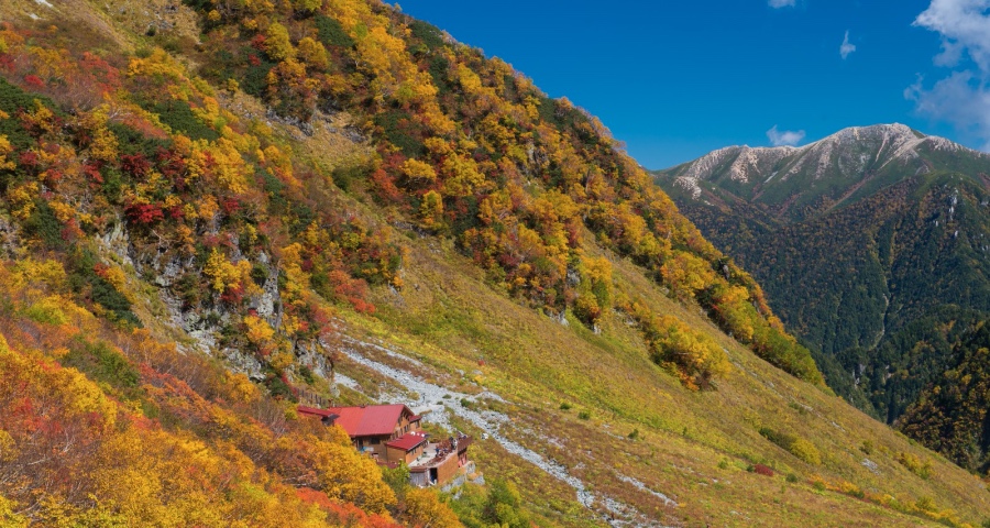 家电下乡和以旧换新双轮驱动，新一轮地方政策红利驰援家电业-家电圈官网