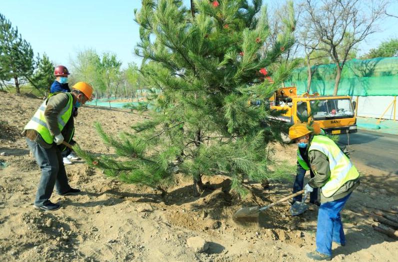 南苑森林溼地公園13萬平方米水系年底亮相_土山