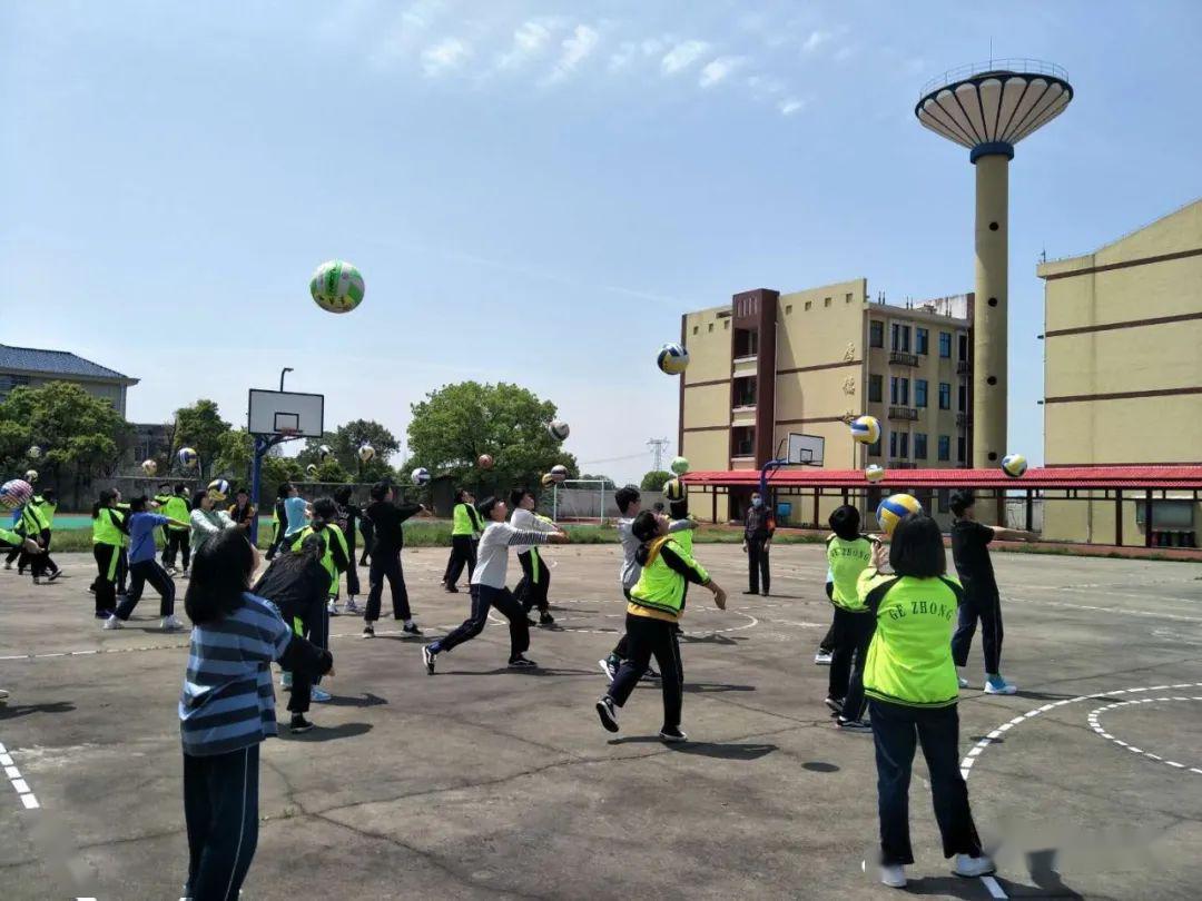 "返校一周,来听听他们怎么说_望城区