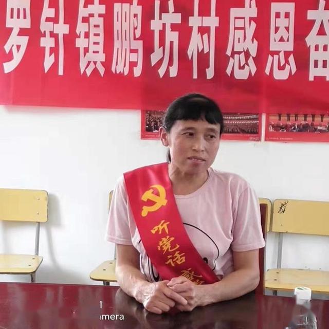 临川罗针名人图片