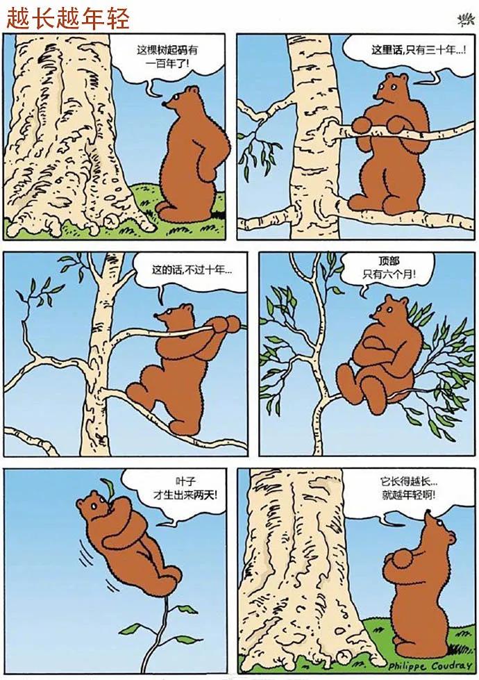 正能量漫画熊界阿甘の大笨熊巴纳比