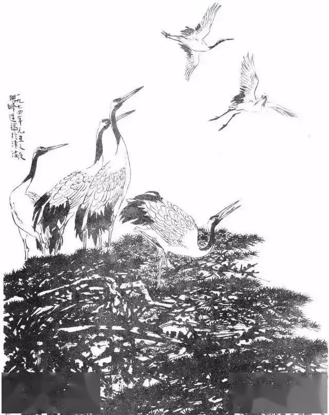 孙其峰画鹤技法