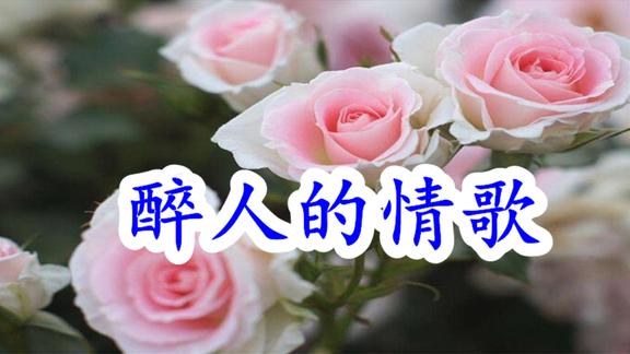 一首醉人的情歌深深打动人心勾起无限美好回忆