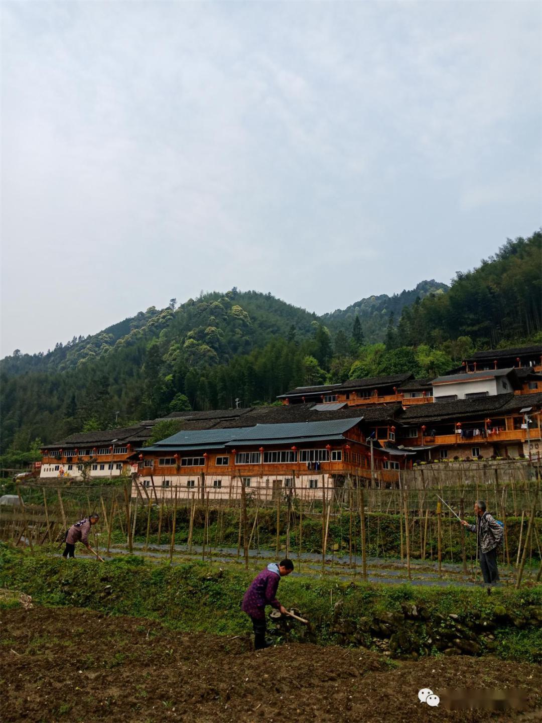 黄沙瑶族乡坐落于十万大山之中偏安一隅保持着纯正的自然风貌与原始