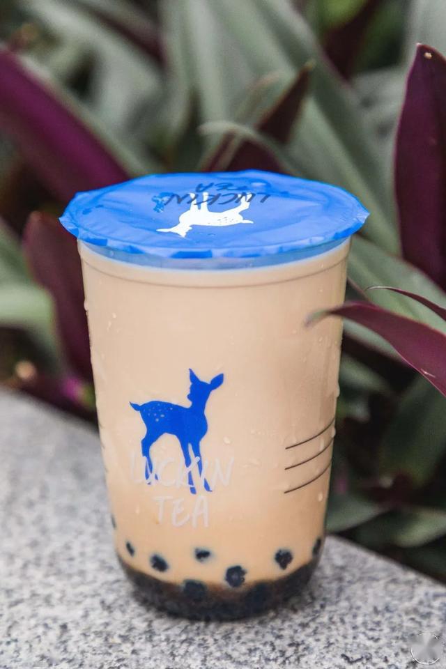 2020深圳奶茶宝典来啦狂喝12杯发现值得买的是