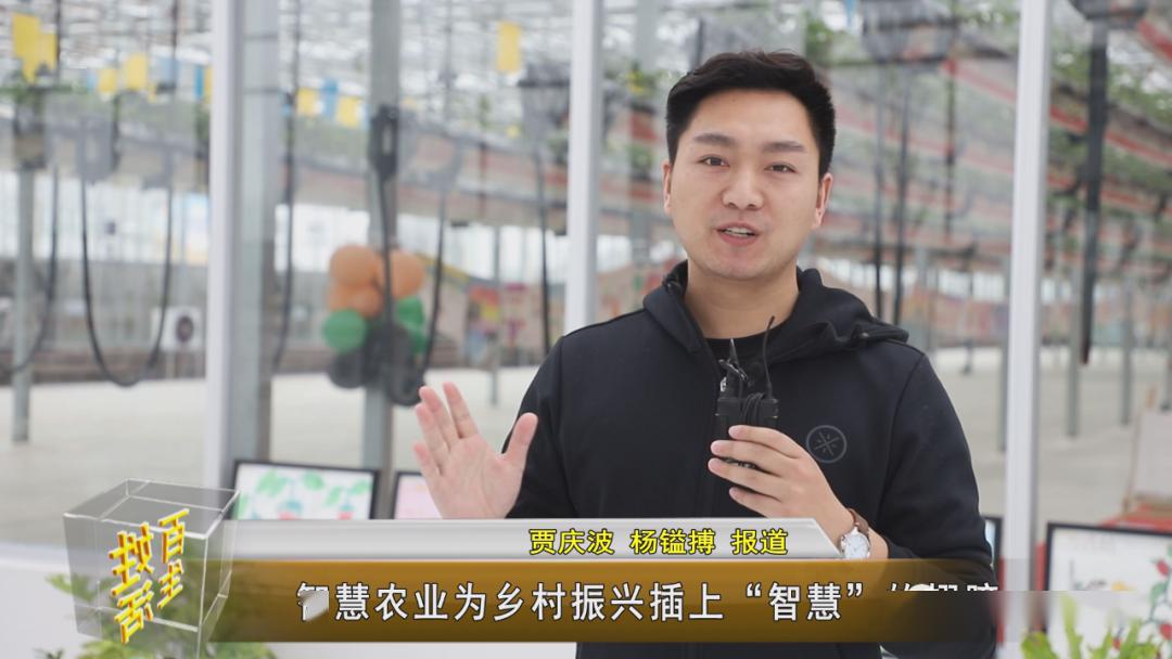 夏邑智慧农业为乡村振兴插上智慧的翅膀