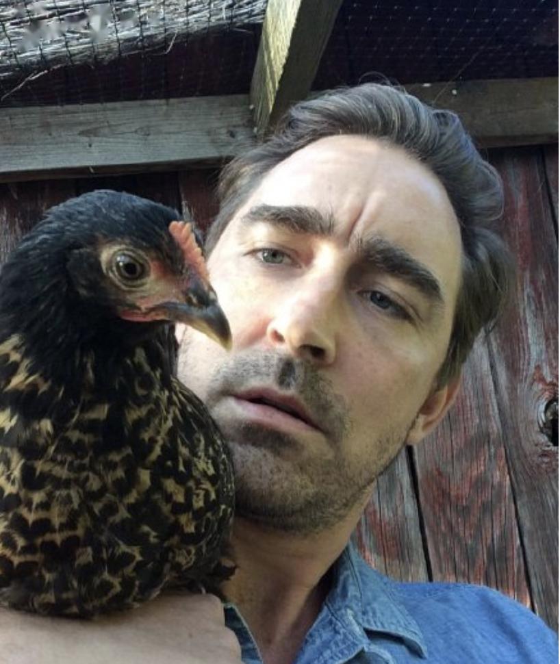 荷兰弟养鸡汤老师种菜疫情下的好莱坞明星都家在干啥