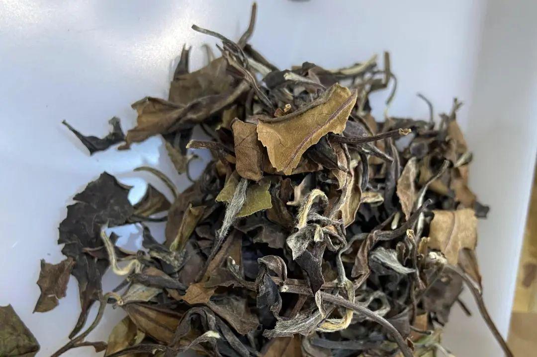 2020福鼎寻茶评茶笔记之一