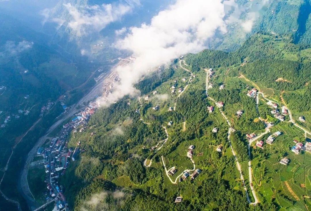 五峰青年在战疫中激扬青春力量采花乡篇