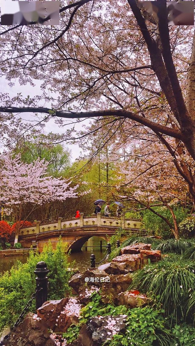 北外滩7果粒橙 @虹口足球场6a sally @鲁迅公园a sally @大连西路