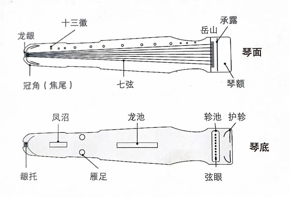 古琴形制图下面请华夏古乐团的罗苏理老师带我们一起走进古琴的抑乐