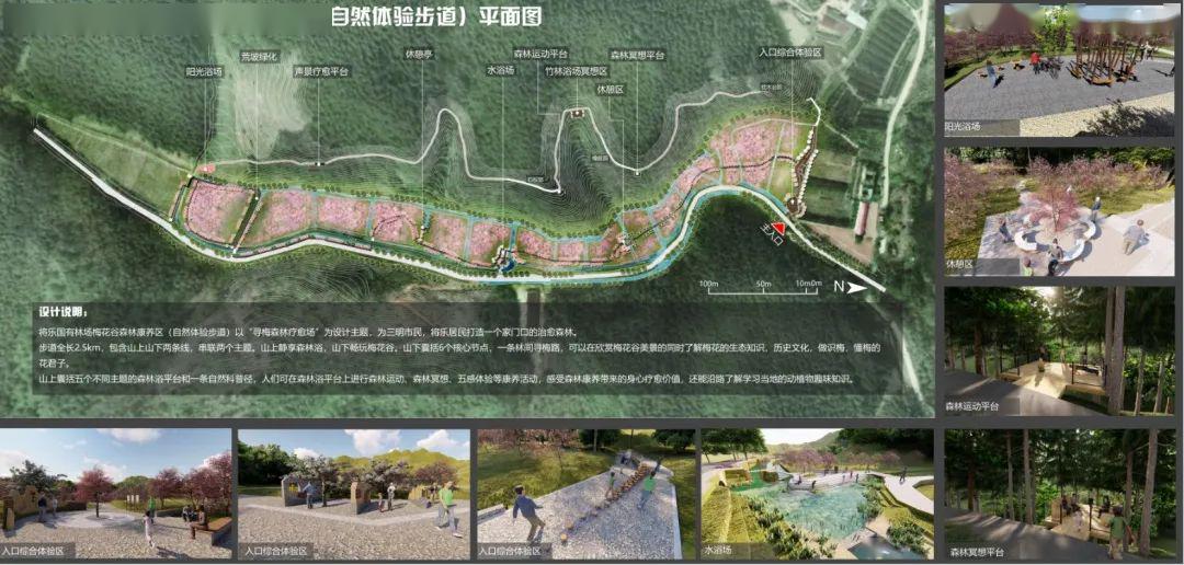 康养之旅 | 梅花谷的春色关不住了,一起点亮它吧_将乐