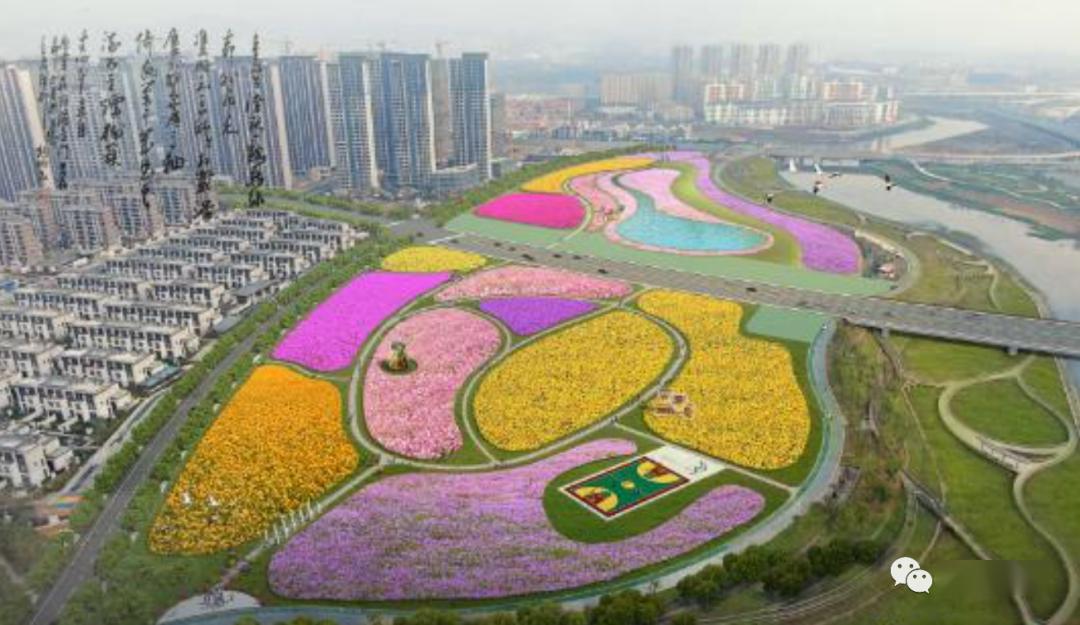 占地200亩红谷滩中心区旁新添大型花海公园预计今年5月完工