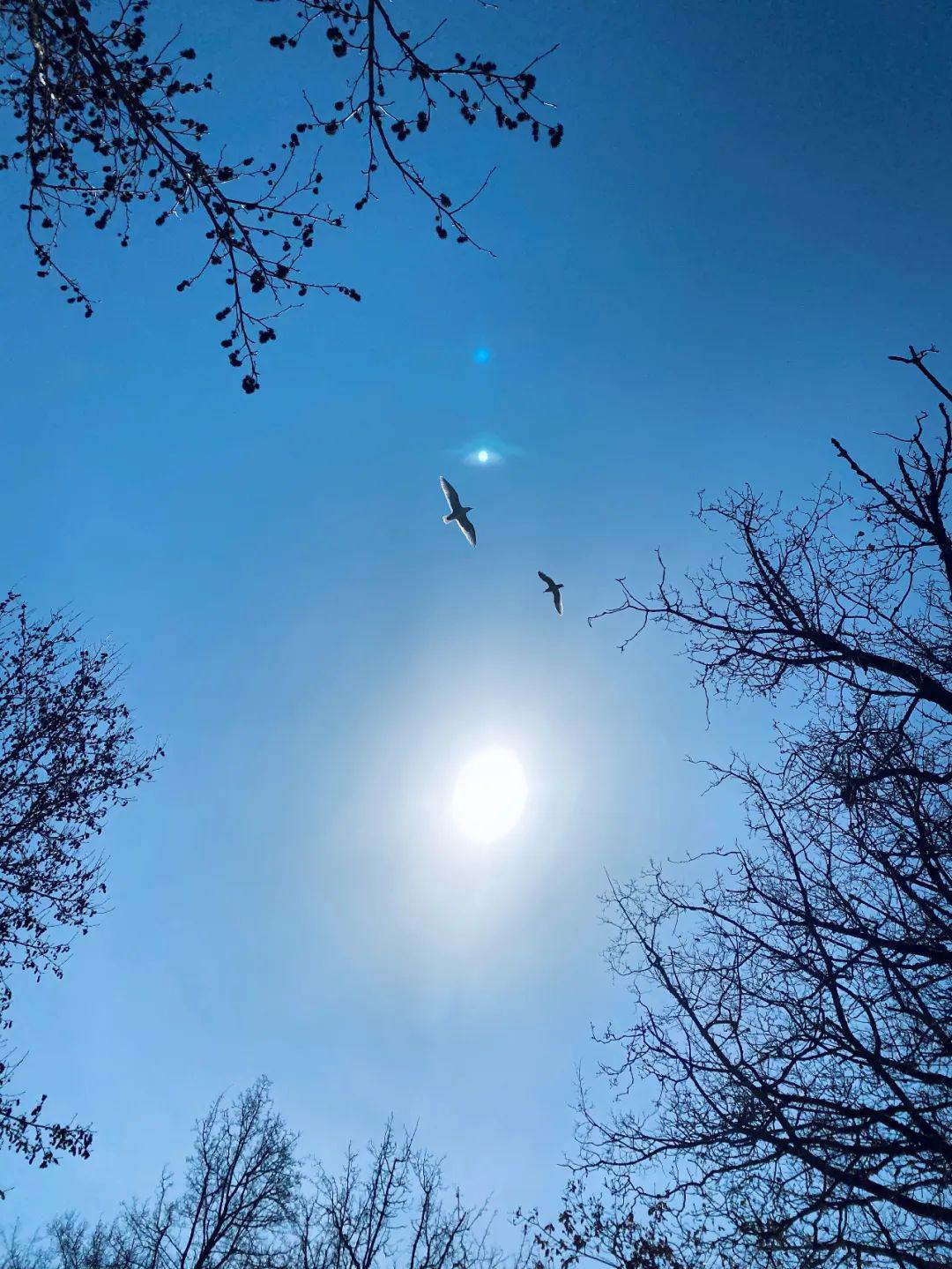 我并不责备春天, 它已再次出现_辛波斯卡