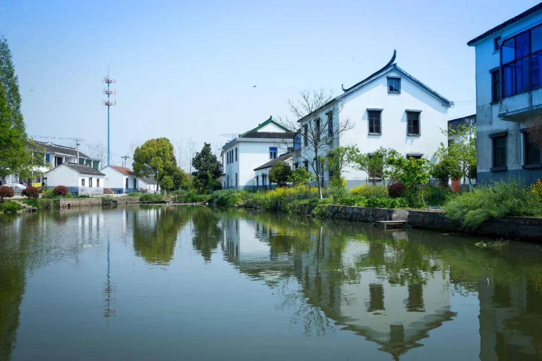 渭塘四月天竟如此温柔