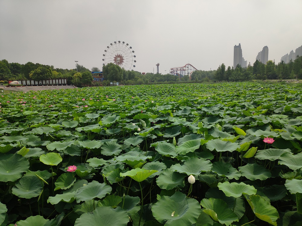 宿州三角洲公园大水滴图片