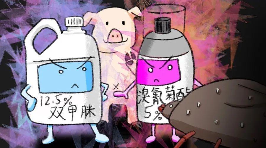 蜱与非洲猪瘟传播的关系