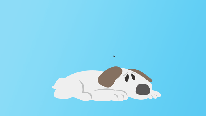 3范文模板:a little dogi have a pet dog.its cute and naughty.