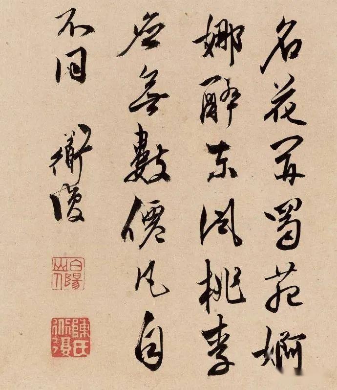 名品视界明陈淳书画作品之三花卉书法册页十六开