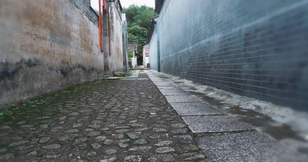 周末短途之旅人间最美四月天四会邓村