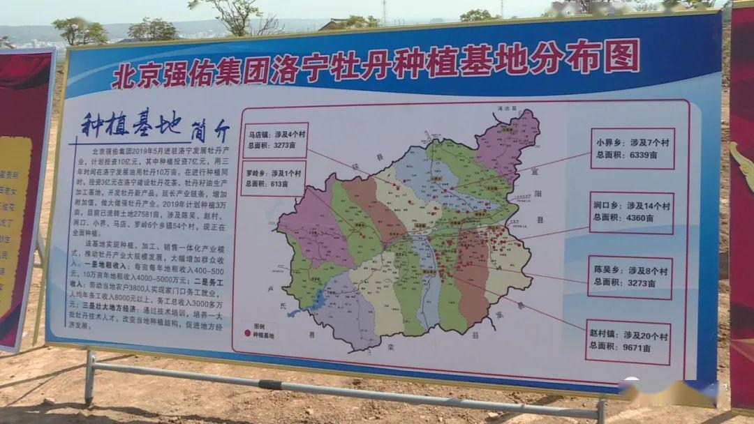 洛宁牡丹产业带贫富民