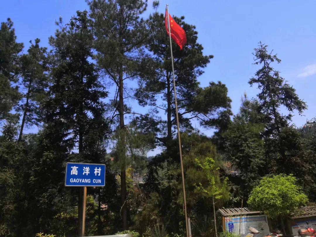 我要回农村,同乐乡高洋村山美,水美!